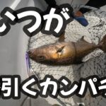 【ジギング】カンパチはいっぱいいるけど、一番手ごわいタイプの奴知ってる？【スロージギング】