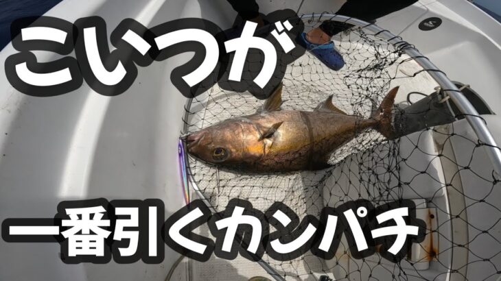 【ジギング】カンパチはいっぱいいるけど、一番手ごわいタイプの奴知ってる？【スロージギング】