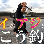 デイアジングの基本！デイのアジはこう釣る！日中の堤防で簡単にアジが釣れる方法を紹介します！