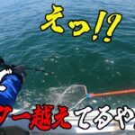 余裕でメーター越えのモンスターが喰ってきてビビった！！！