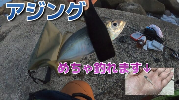 【アジング⇒ショアジギ】新潟リベンジ釣行（前編）