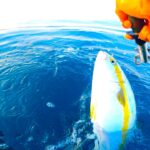 【鹿島灘ヒラマサジギング】ヒラマサをリリースできる余裕ができる海！