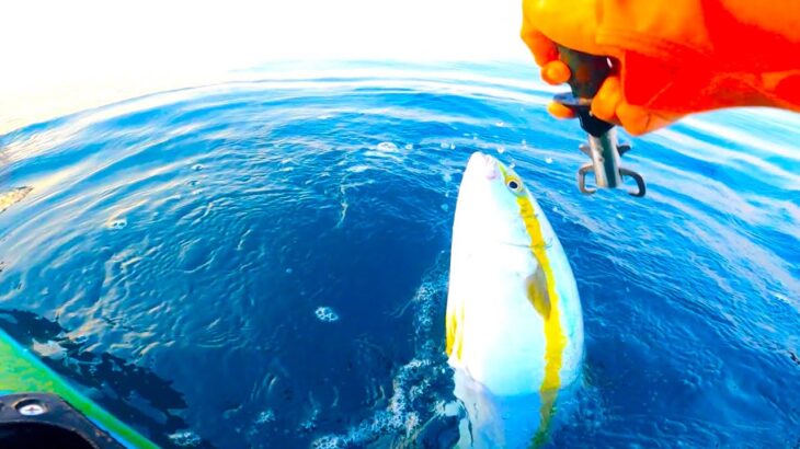 【鹿島灘ヒラマサジギング】ヒラマサをリリースできる余裕ができる海！