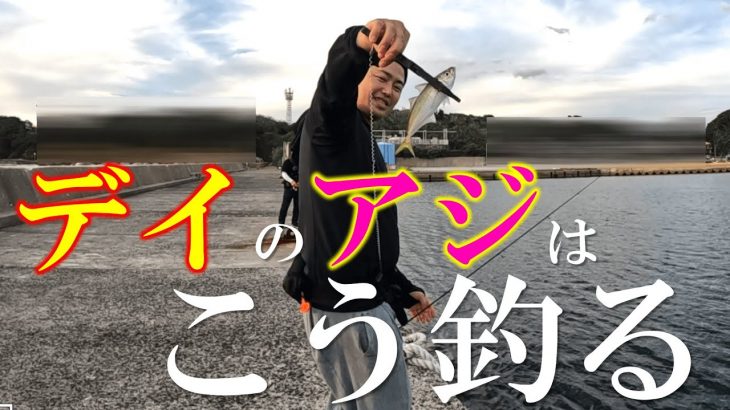 デイアジングの基本！デイのアジはこう釣る！日中の堤防で簡単にアジが釣れる方法を紹介します！