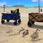 【サーフヒラメ】２泊３日鹿島灘サーフ車中泊釣行