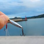 巨大アジ狙って湾内から安物ジグを投げた瞬間からヤバかった！