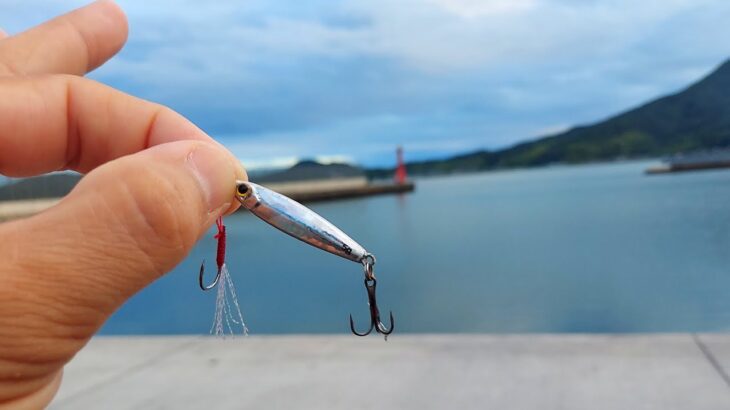 巨大アジ狙って湾内から安物ジグを投げた瞬間からヤバかった！