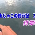 やっぱりアジングは色々釣れて楽しい　～宵姫華弐とエステルの世界へ行く編～