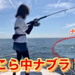 久々に船釣りに行ったらナブラ独り占めでした