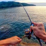 潮が引いた磯で餌を落とすと…アジングロッドが大曲がり【夏の釣りキャンプ】