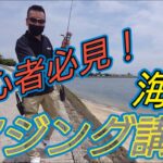 【アジング】【海猿】初心者も楽しめるアジングを!!タックル選び等必見です！【初心者編】
