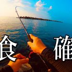 【アジング】新鮮なアジが食べたくて、仕事終わりに釣りに行ってきました。