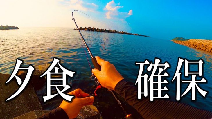 【アジング】新鮮なアジが食べたくて、仕事終わりに釣りに行ってきました。