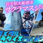 【村上的 ネコメタル パラダイス vol.10】“みちのく”でサクラマスジギング！村上の包丁捌きも必見