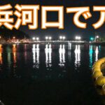 神奈川アジング調査vol.22