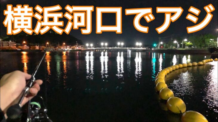 神奈川アジング調査vol.22