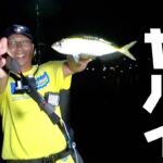 アジングロッドの革命！業界初の0.8mmティップを搭載したロッドが色々凄かった！【UmberCraft/アンバークラフト】