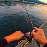 堤防の足元へ落とすと…アジングロッドが大曲り！釣り堀みたいな田舎の堤防【1泊2日の釣り車中泊の旅】