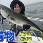 兵庫県・明石沖　ジギングサビキの青物（ガッ釣り関西/2022年8月13日放送）