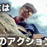 【8月】真夏のサーフ‼︎悪条件なサーフに挑む‼︎‼︎釣れたルアーとアクションとは？？