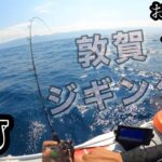福井県敦賀湾8月09日ゴムボートジギングお盆休み2日目(🔰スライドジギング釣り方)