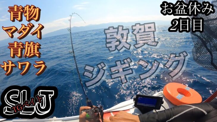 福井県敦賀湾8月09日ゴムボートジギングお盆休み2日目(🔰スライドジギング釣り方)