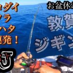 福井県敦賀8月13日ゴムボートジギング🎣青物連発ヒット🐟DaiwaTGベイト100gゼブラ