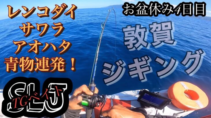 福井県敦賀8月13日ゴムボートジギング🎣青物連発ヒット🐟DaiwaTGベイト100gゼブラ
