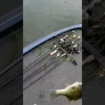 GIANT Bass Flipping Grass