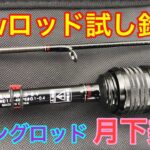 Newロッド試し釣り アジングロッド月下美人 南知多 衣浦湾