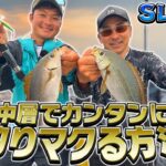 【スーパーライトジギング（SLJ）入門】中層でカンタンに釣りマクる方法！住澤親子が指南【イサキ釣れ釣れ】