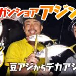 【アジング】ランガンショアアジングin上関【フィッシングトリップ】