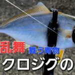 【sls】青物祭り開幕中！狂う青物達。ダイソーマイクロジグはこう使うと覚醒する【スーパーライトショアジギング】