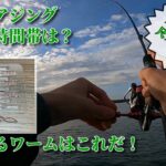 【朝まずめ】アジングでデカいアジが釣れるワームとポイント！
