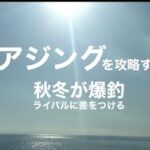 夏アジングで釣れる場所は、秋冬爆釣ポイントに化ます！ポイントはテトラ帯と河口！