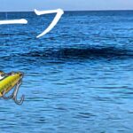 【釣り】やった！デカいっ…！ベイトが爆沸きするサーフにジグを投げ込むと…【ジグパラサーフ】