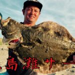 【車中泊】４泊５日灼熱鹿島灘サーフ釣行