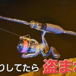 【アジング】常夜灯の下で油断してたら。。