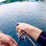 【釣り合宿】デカアジ狙いの夏アジングで中アジが入れ喰いした！