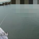 釣りをしてたら前で泳がれた、、、どうする？？   びしょ濡れで釣りするリアルな夫婦    #海釣り #夫婦