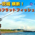 ヒラメ・マゴチを狙え！真夏のフラットフィッシュゲーム！新潟～茨城　横断！（前編）目黒毅久