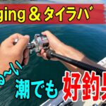 瀬戸内　ジギング＆タイラバ　なんだかんだと好釣果！