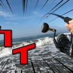 朝からベイトっ気ＭＡＸサーフ！マゴチかヒラメしかねぇよなあ！？