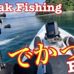 ［釣り］竿折れるって！ライトジギングで大物釣る！カヤックフィッシング