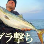 サーフでナブラ撃ちっ…！！デカい青物を釣り上げる！！【ブリ・ワラサ】