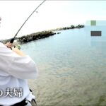 信じられない…またしても… ちょい投げで簡単に釣れる大キスを晩御飯のおかずにしたいリアルな夫婦   #海釣り #夫婦