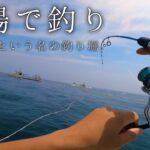 定置網の中でジギングしてみたゾ
