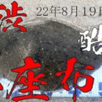 灼熱！激渋！地獄みたいな鹿島灘神栖サーフ、ランガンし放題で大型ヒラメゲット！サーフヒラメのランガンのやり方！コツは粘ってないでさっさと移動！