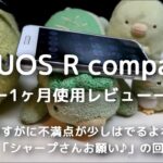 AQUOS R compact 一ヶ月使用レビュー「さすがに不満点出るよね」