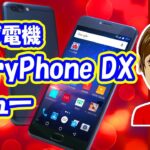 EveryPhone DX レビュー ヤマダ電機のハイエンドSIMフリースマホのスペックや価格、そして ヤマダ電機でスマホを買うメリットとは？